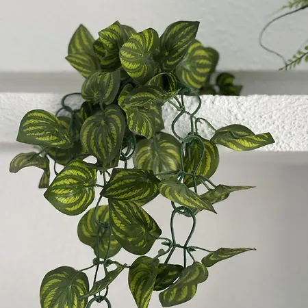 Panoramic Paradise Tenerife Ocean View & Comfort * アデヘ